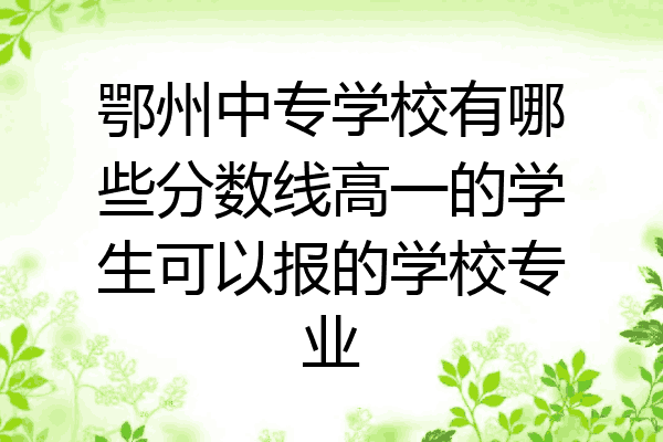 鄂州中专学校有哪些分数线高一的学生可以报的学校专业