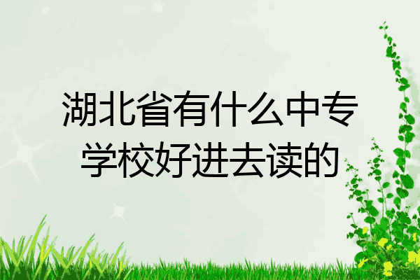 湖北省有什么中专学校好进去读的