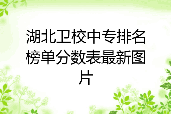 湖北卫校中专排名榜单分数表最新图片