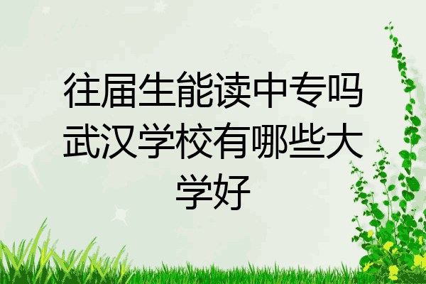 往届生能读中专吗武汉学校有哪些大学好