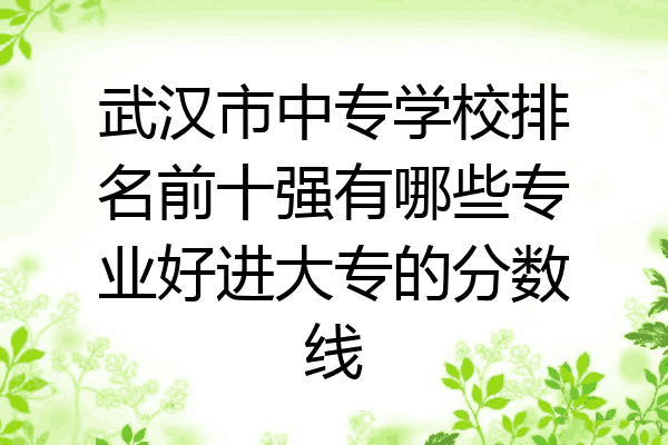 武汉市中专学校排名前十强有哪些专业好进大专的分数线