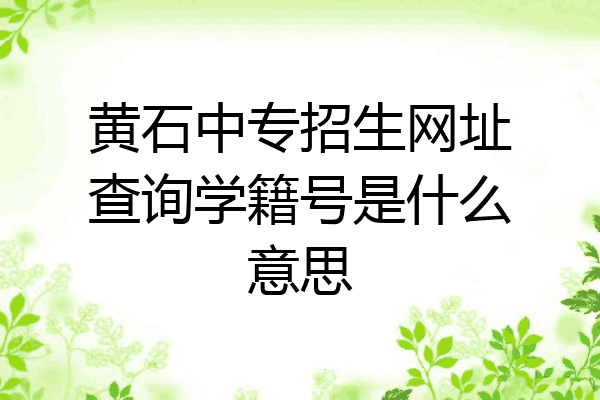 黄石中专招生网址查询学籍号是什么意思