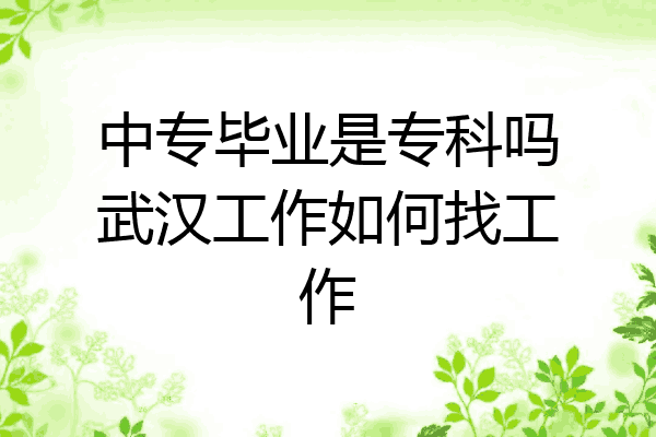 中专毕业是专科吗武汉工作如何找工作