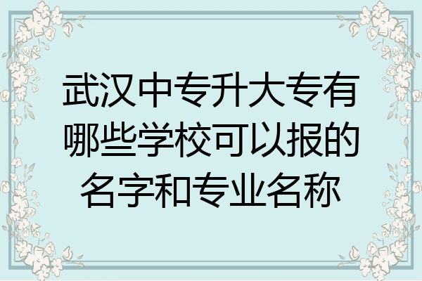 武汉中专升大专有哪些学校可以报的名字和专业名称