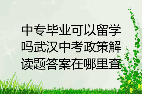 中专毕业可以留学吗武汉中考政策解读题答案在哪里查