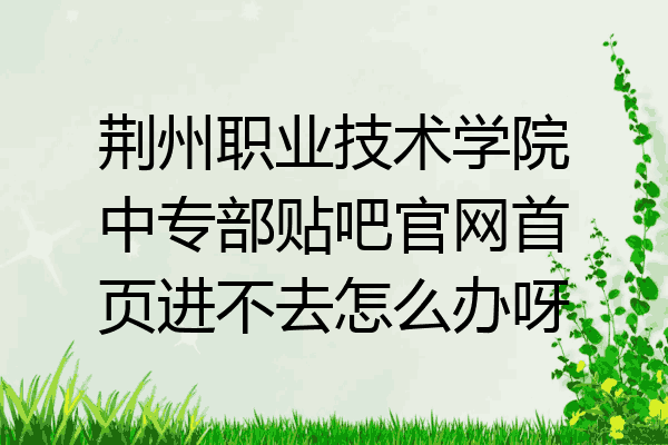 荆州职业技术学院中专部贴吧官网首页进不去怎么办呀