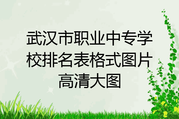 武汉市职业中专学校排名表格式图片高清大图