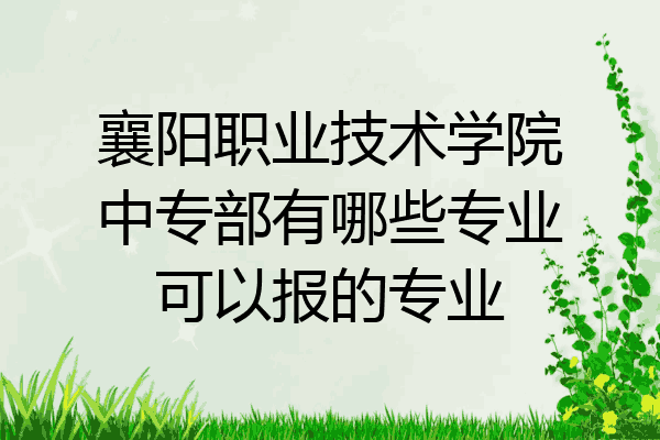 襄阳职业技术学院中专部有哪些专业可以报的专业