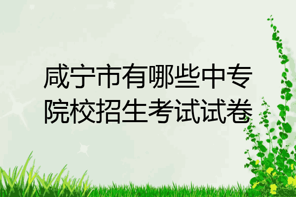 咸宁市有哪些中专院校招生考试试卷