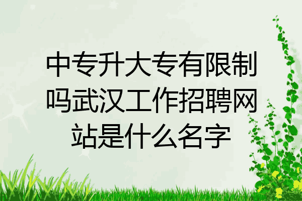 中专升大专有限制吗武汉工作招聘网站是什么名字