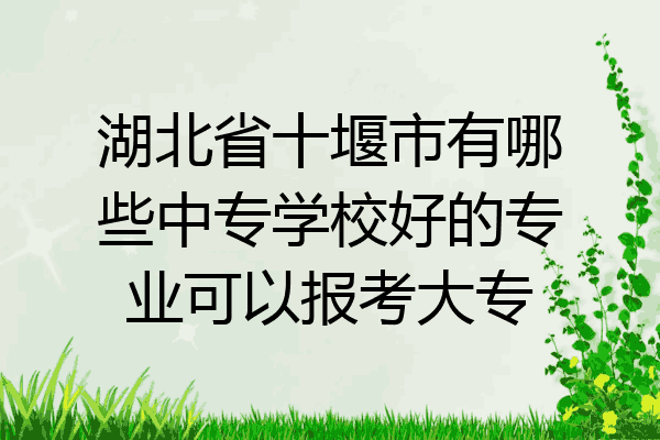 湖北省十堰市有哪些中专学校好的专业可以报考大专
