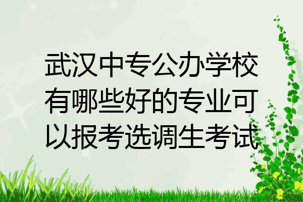 武汉中专公办学校有哪些好的专业可以报考选调生考试