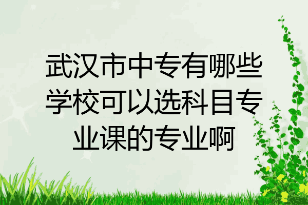 武汉市中专有哪些学校可以选科目专业课的专业啊