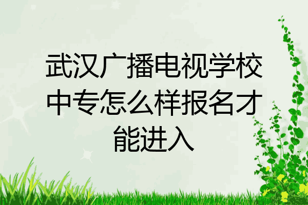 武汉广播电视学校中专怎么样报名才能进入