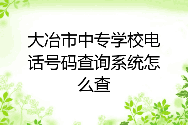 大冶市中专学校电话号码查询系统怎么查