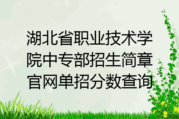 湖北省职业技术学院中专部招生简章官网单招分数查询