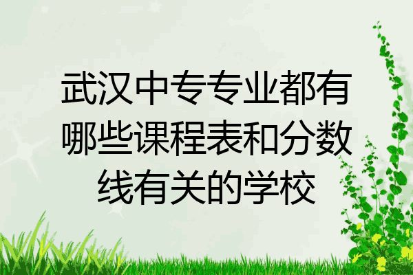 武汉中专专业都有哪些课程表和分数线有关的学校
