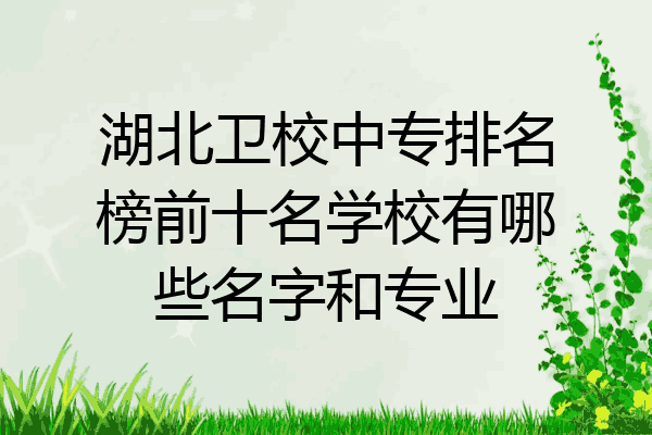 湖北卫校中专排名榜前十名学校有哪些名字和专业
