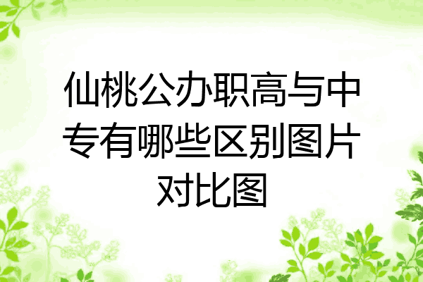 仙桃公办职高与中专有哪些区别图片对比图