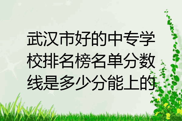 武汉市好的中专学校排名榜名单分数线是多少分能上的