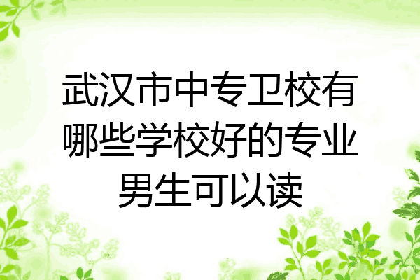 武汉市中专卫校有哪些学校好的专业男生可以读