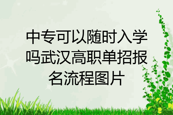 中专可以随时入学吗武汉高职单招报名流程图片