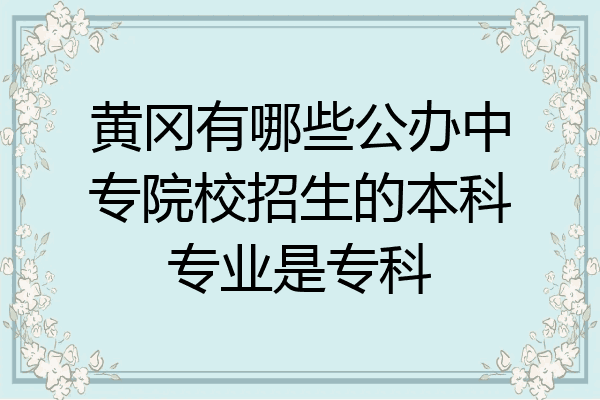 黄冈有哪些公办中专院校招生的本科专业是专科