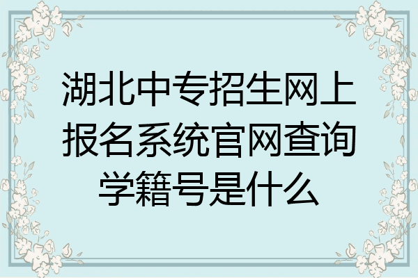 湖北中专招生网上报名系统官网查询学籍号是什么