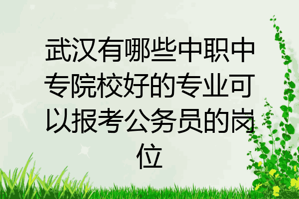 武汉有哪些中职中专院校好的专业可以报考公务员的岗位