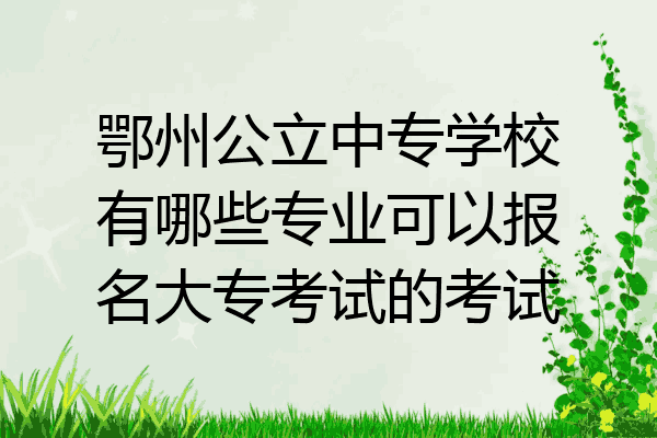鄂州公立中专学校有哪些专业可以报名大专考试的考试
