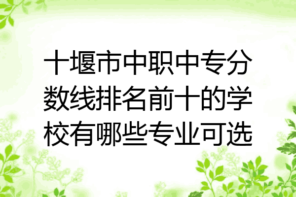 十堰市中职中专分数线排名前十的学校有哪些专业可选