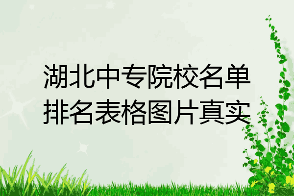 湖北中专院校名单排名表格图片真实