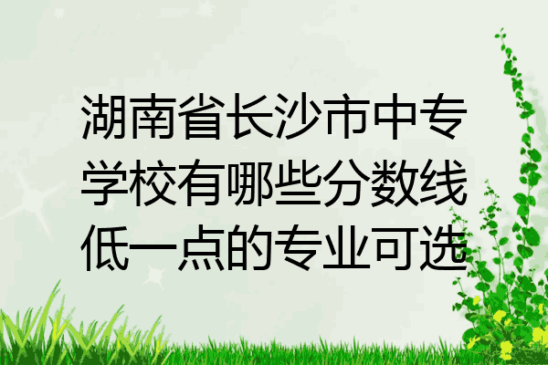 湖南省长沙市中专学校有哪些分数线低一点的专业可选