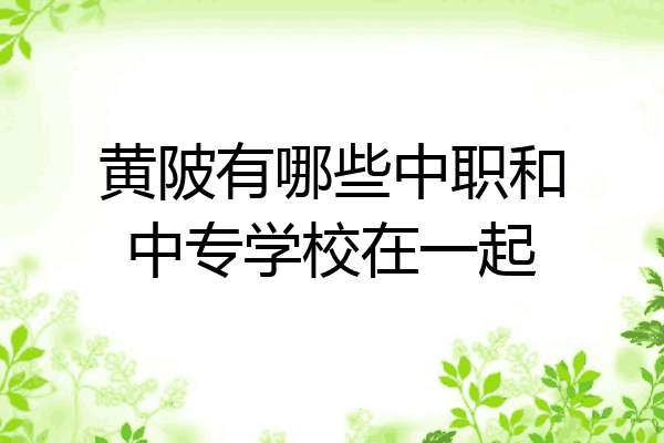 黄陂有哪些中职和中专学校在一起