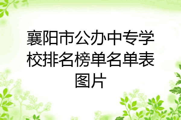 襄阳市公办中专学校排名榜单名单表图片