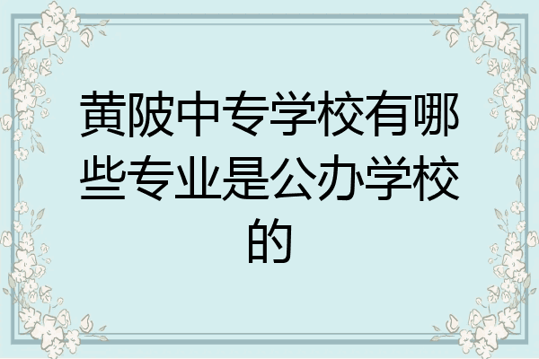 黄陂中专学校有哪些专业是公办学校的