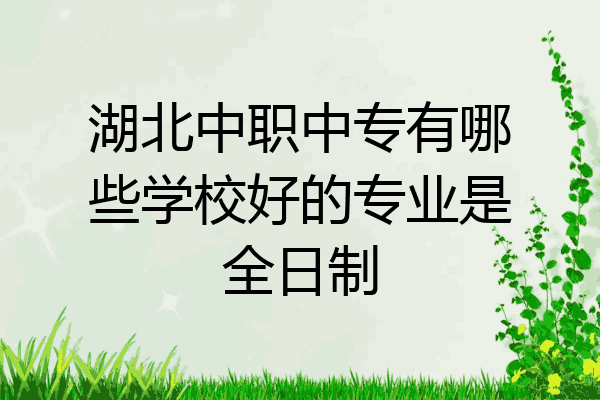 湖北中职中专有哪些学校好的专业是全日制