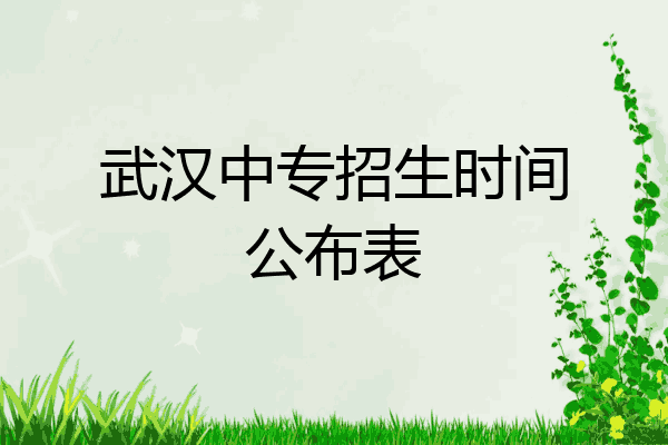 武汉中专招生时间公布表