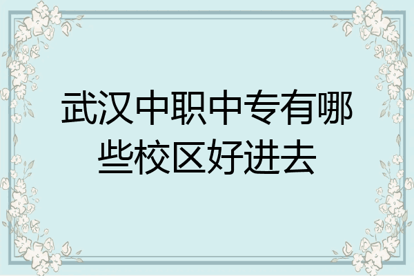 武汉中职中专有哪些校区好进去