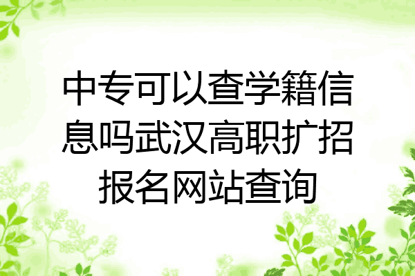 中专可以查学籍信息吗武汉高职扩招报名网站查询