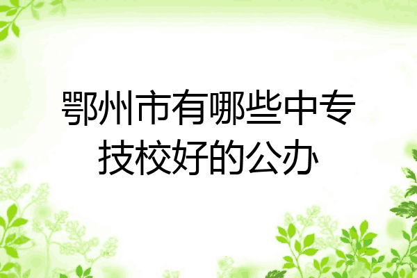 鄂州市有哪些中专技校好的公办