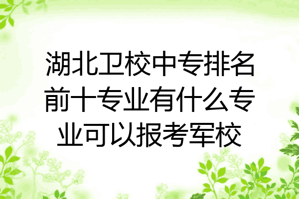 湖北卫校中专排名前十专业有什么专业可以报考军校