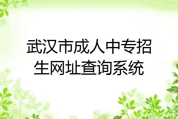 武汉市成人中专招生网址查询系统