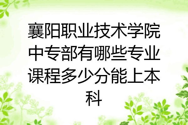 襄阳职业技术学院中专部有哪些专业课程多少分能上本科