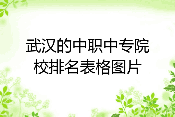 武汉的中职中专院校排名表格图片