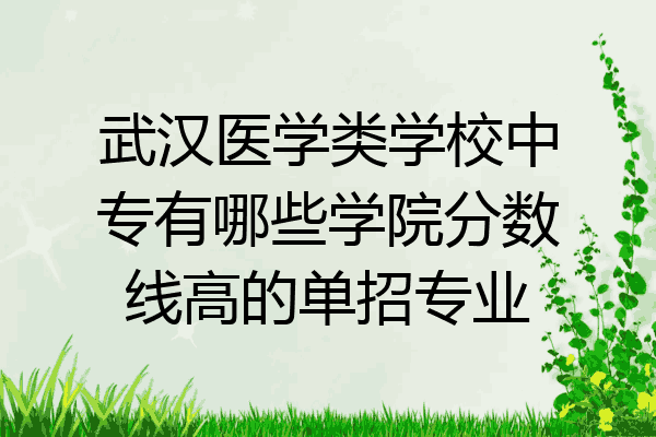 武汉医学类学校中专有哪些学院分数线高的单招专业