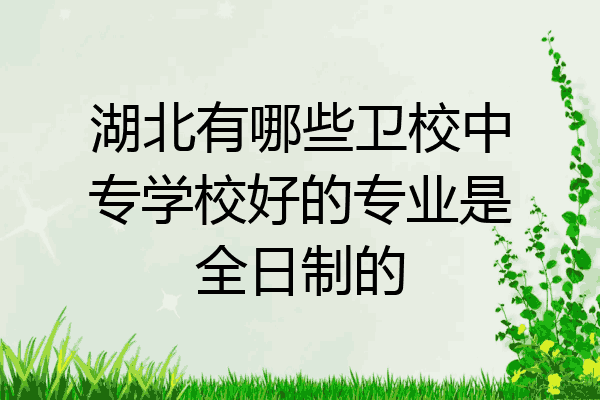 湖北有哪些卫校中专学校好的专业是全日制的