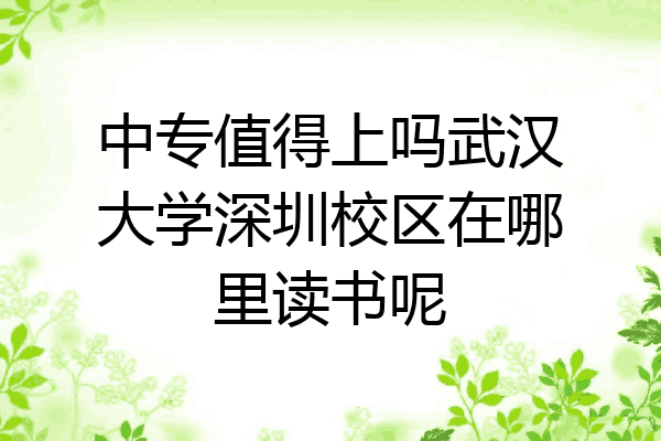 中专值得上吗武汉大学深圳校区在哪里读书呢