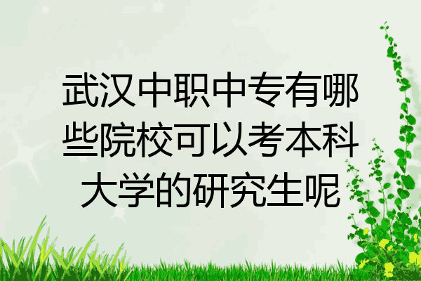 武汉中职中专有哪些院校可以考本科大学的研究生呢