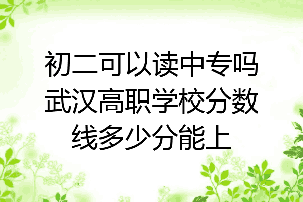 初二可以读中专吗武汉高职学校分数线多少分能上